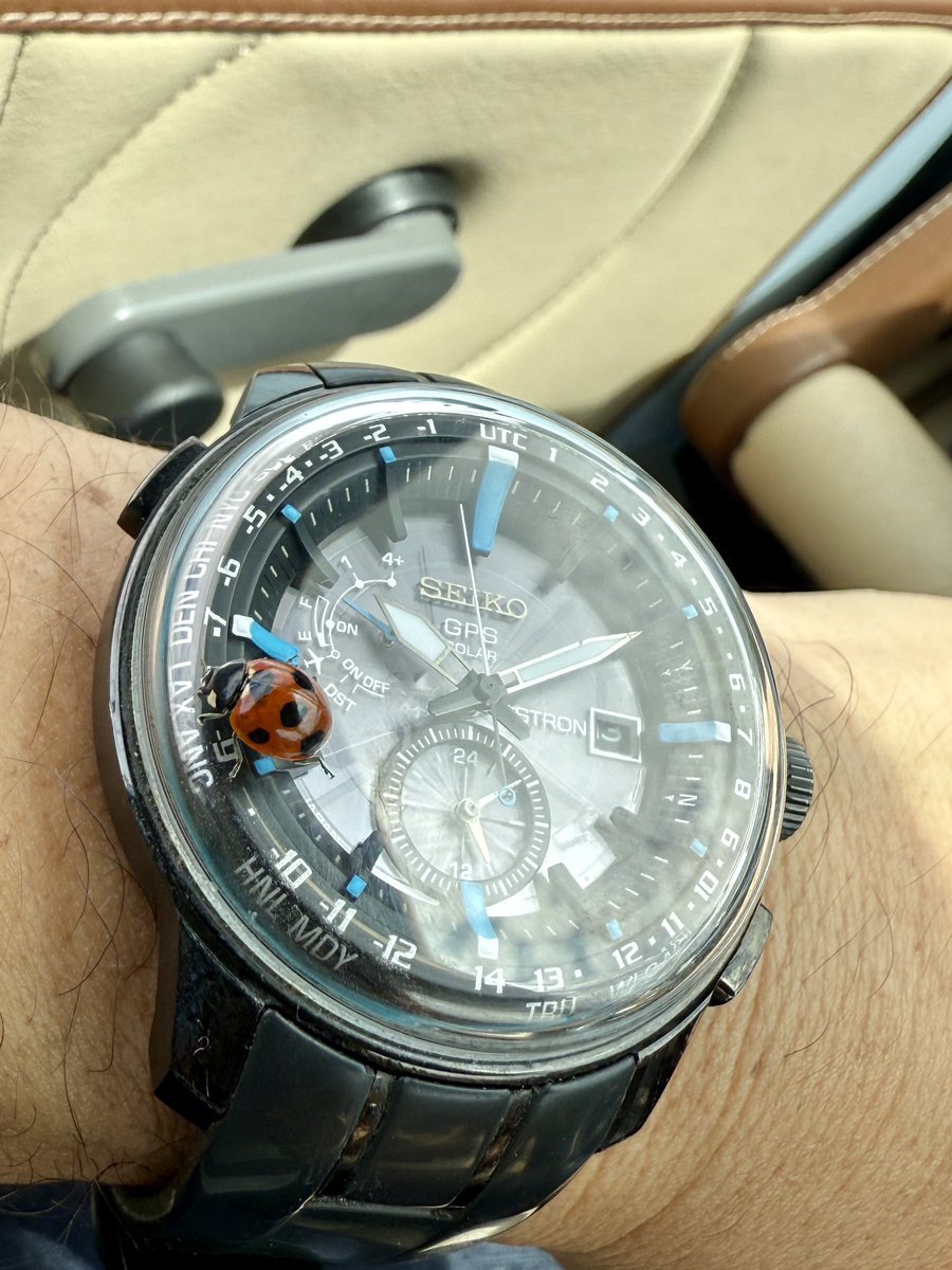Tiara_Blue's tweet photo. 93年前のひいじりませんの辿ったであろう旅に
窓を開けたら
ナナホシテントウ虫が〜ご同車に
旅のお供に https://t.co/des5zCG4vm