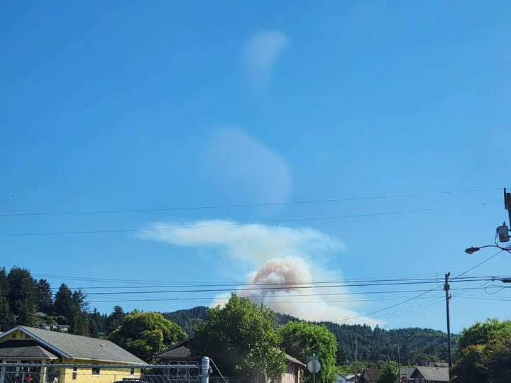 A view of the Scholfield Ridge Fire this afternoon in ReedSport, Oregon. 

Thanks to the subscriber who shared this view. Looks bigger than 40 acres. 

Aviation hit it hard.