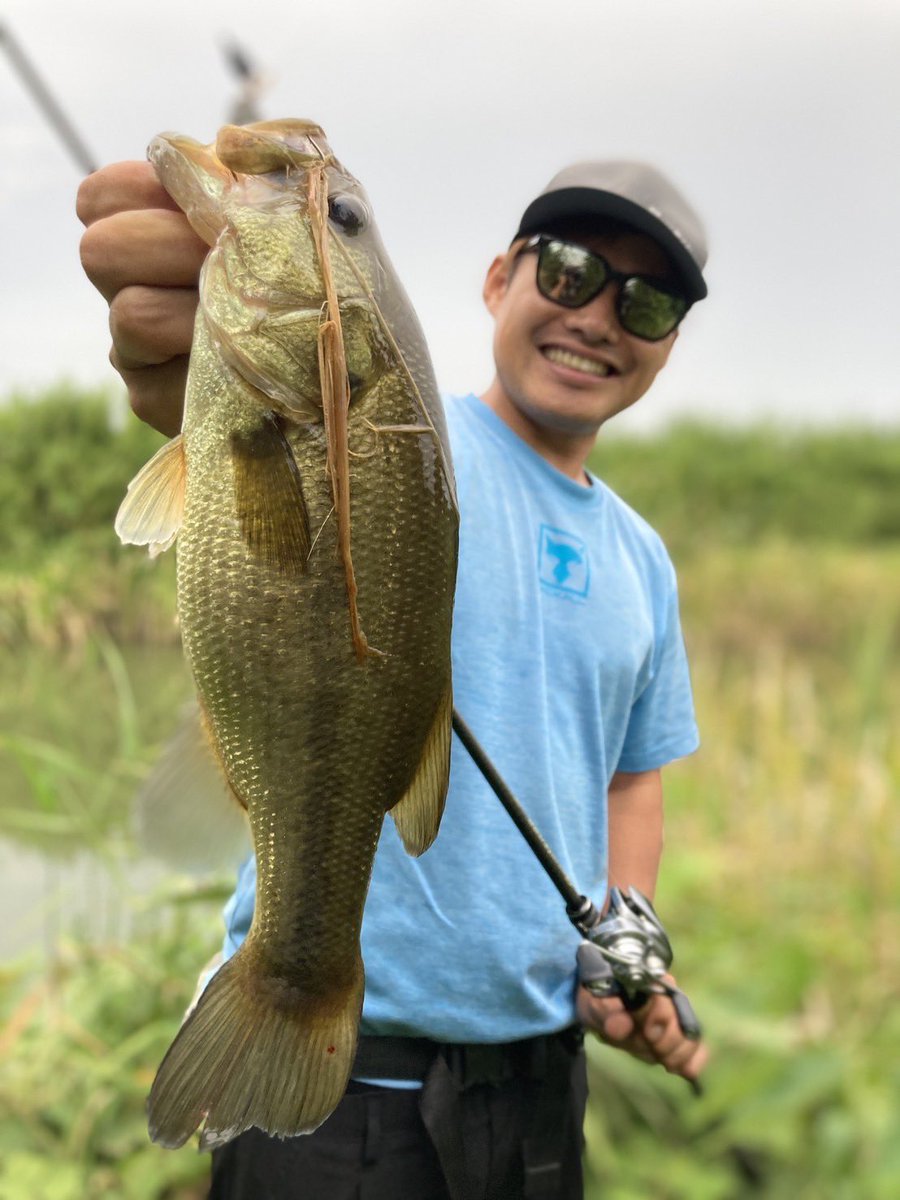 JACKALL BASS FISHING (@JACKALL_Inc) / X