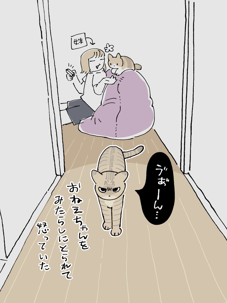 帰省中の妹とずっとベッタリでゴキゲンだったはずのしんばくんが、あからさまに不機嫌な顔＋しっぽ下がりで廊下に突っ立ってニョンニョン言いながら私に何かを訴えかけてきたので、
何があったのかと思って廊下の奥の方見たら妹をみたらしに取られていて笑ってしまった