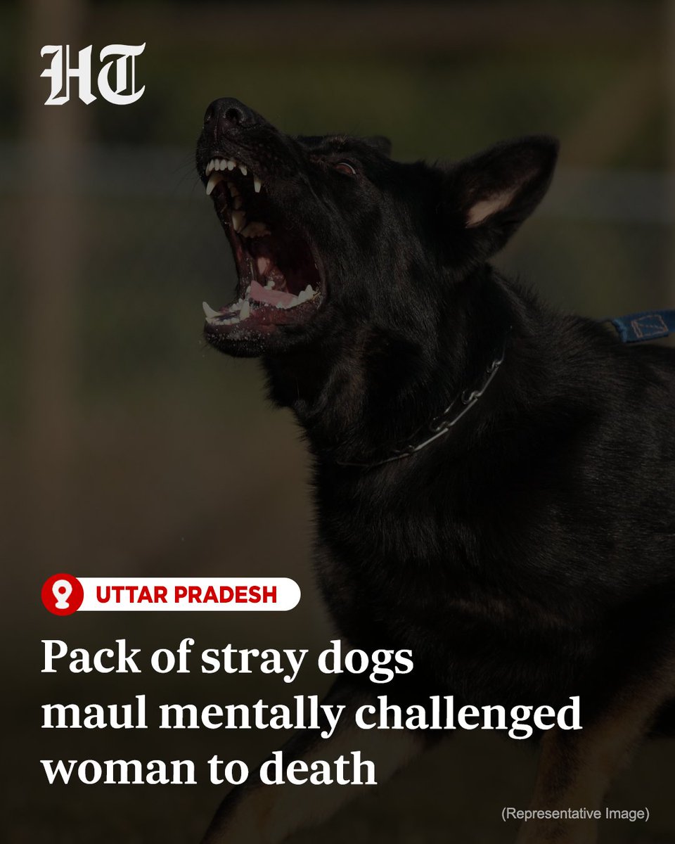 A 30-year-old mentally challenged woman was mauled to death by a pack of stray dogs in Uttar Pradesh's Kushinagar district, police said. The incident took place on Tuesday night in Arjun Dumri village.

Full story 🔗 hindustantimes.com/india-news/pac…
