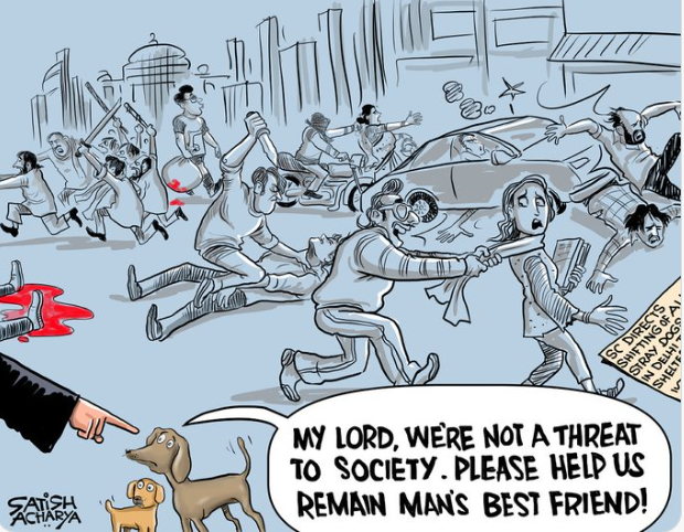 TheViditsharma's tweet photo. On Point https://t.co/yhCeMopOly