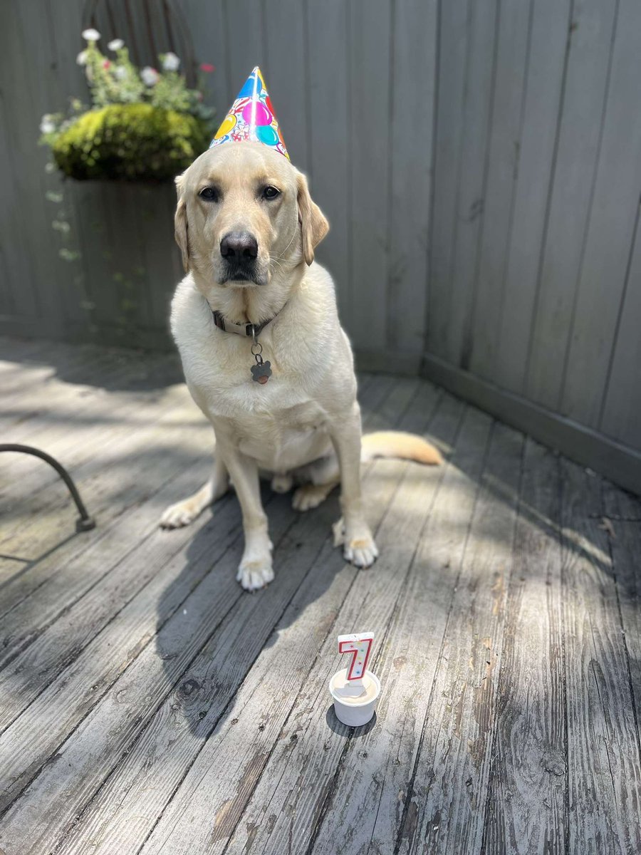 PapaJon3000's tweet photo. Round of applause for my boy Baxters birthday today 🔥 https://t.co/vOGQU1QNPv