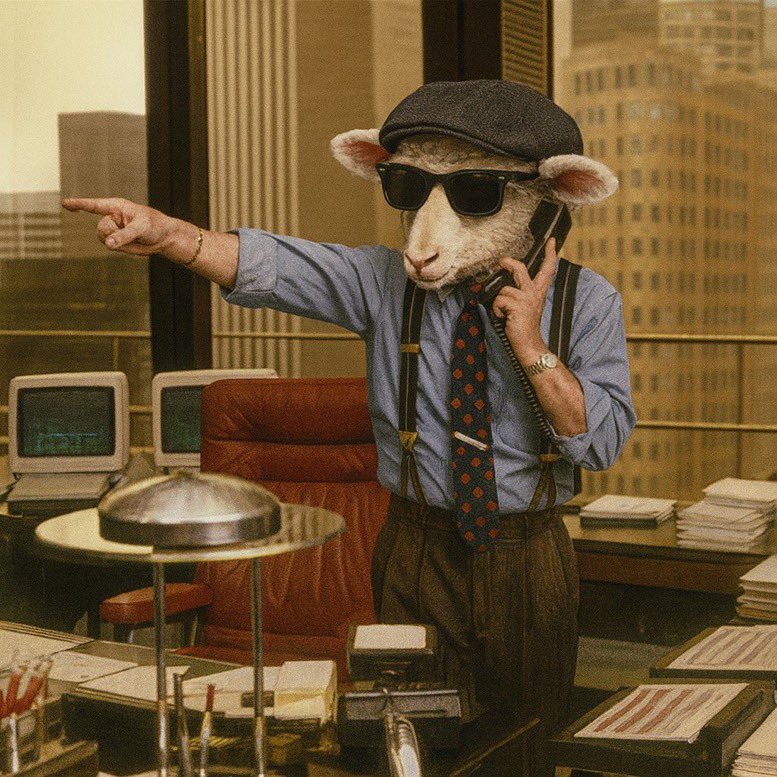 <a href="/CryptoCowboy_AU/">Straya Cowboy🦘</a> Look at this, I’d recommend canceling the noise from your favorite CT guy who is trying to get engagement by a ATTACK against a strong flock trying to bring the old days back. 

“It’s dead”  “ it can’t run back” 
It’s noise from soar sheeplined people who don’t want others but
