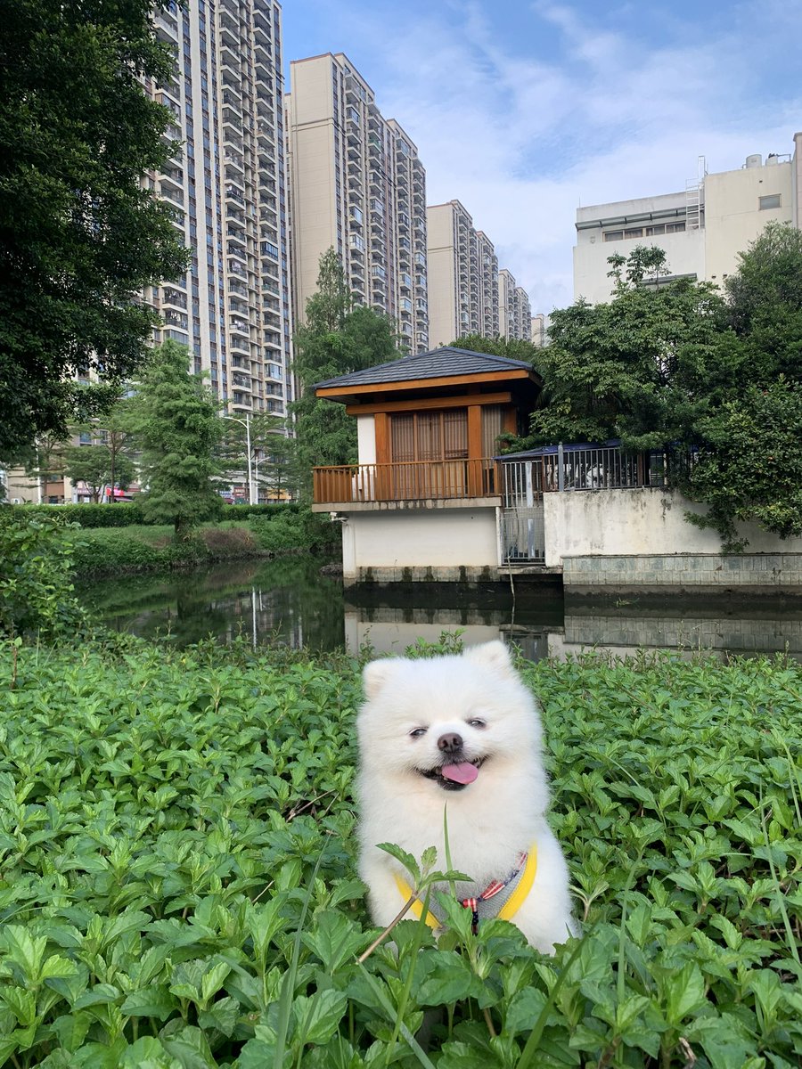 I am going to go to Beijing next Monday. Those who want to treat me ,please lineup 😂