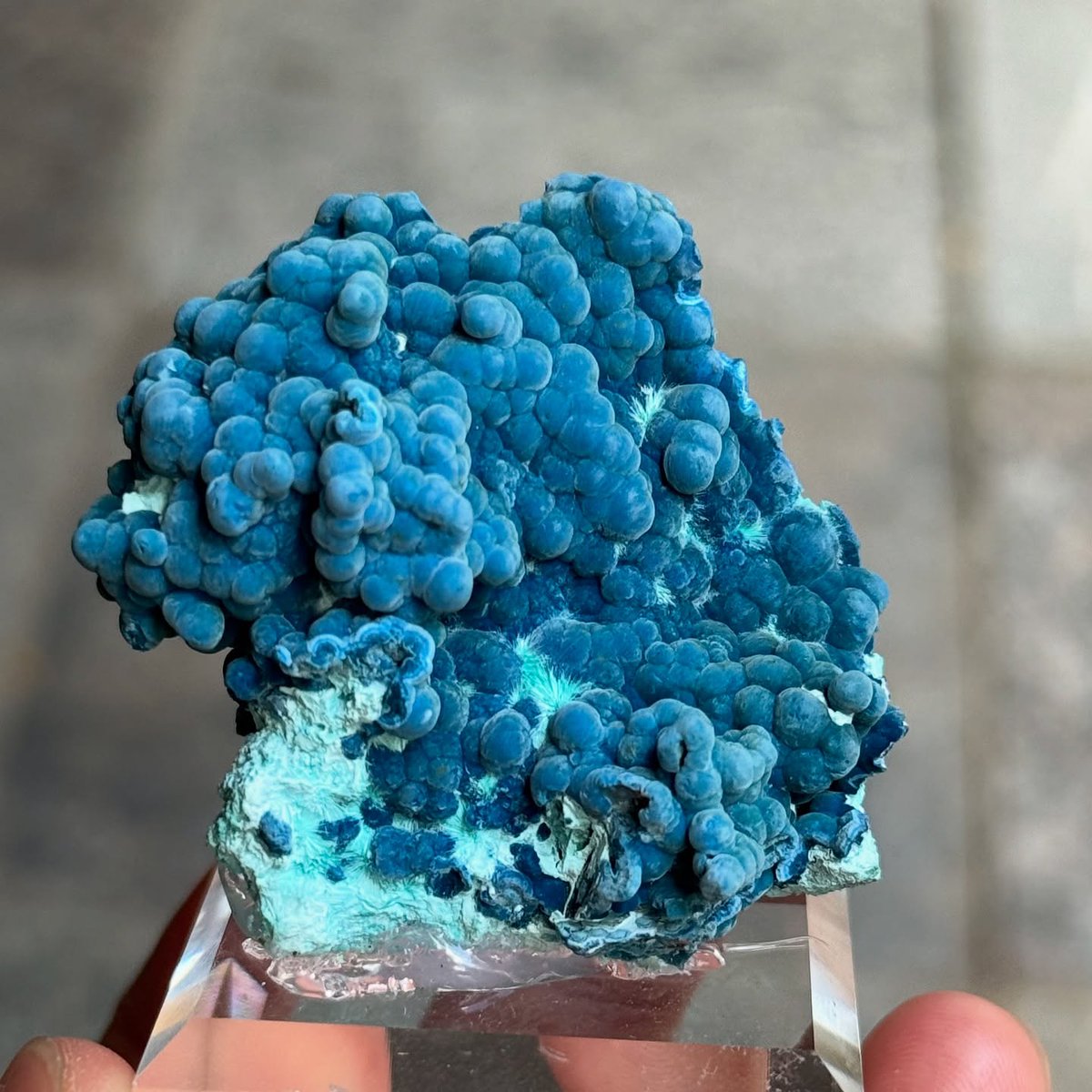 GeologyTime's tweet photo. Shattuckite with ajoite and chrysocolla—a striking mineral combination from Mexico.

Photo: Xue_mineralcollector https://t.co/o0iaRs9AYe
