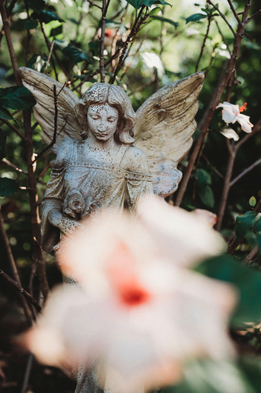 jamesvanpraagh tweet media