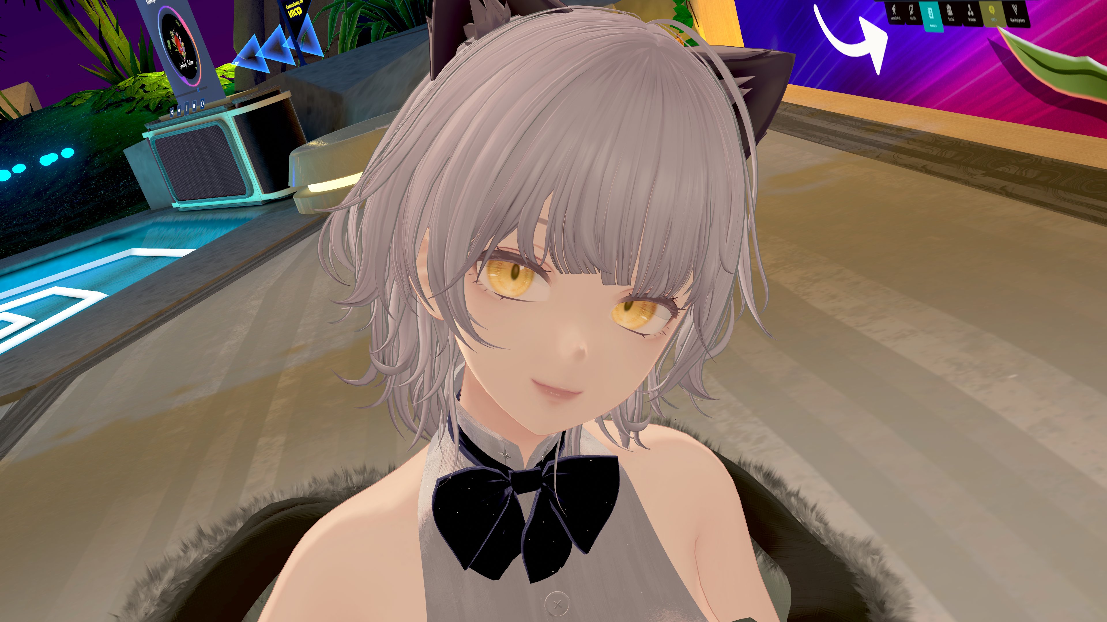ねこねこねこ　0226 森猫🎃🐈‍⬛ on X: 