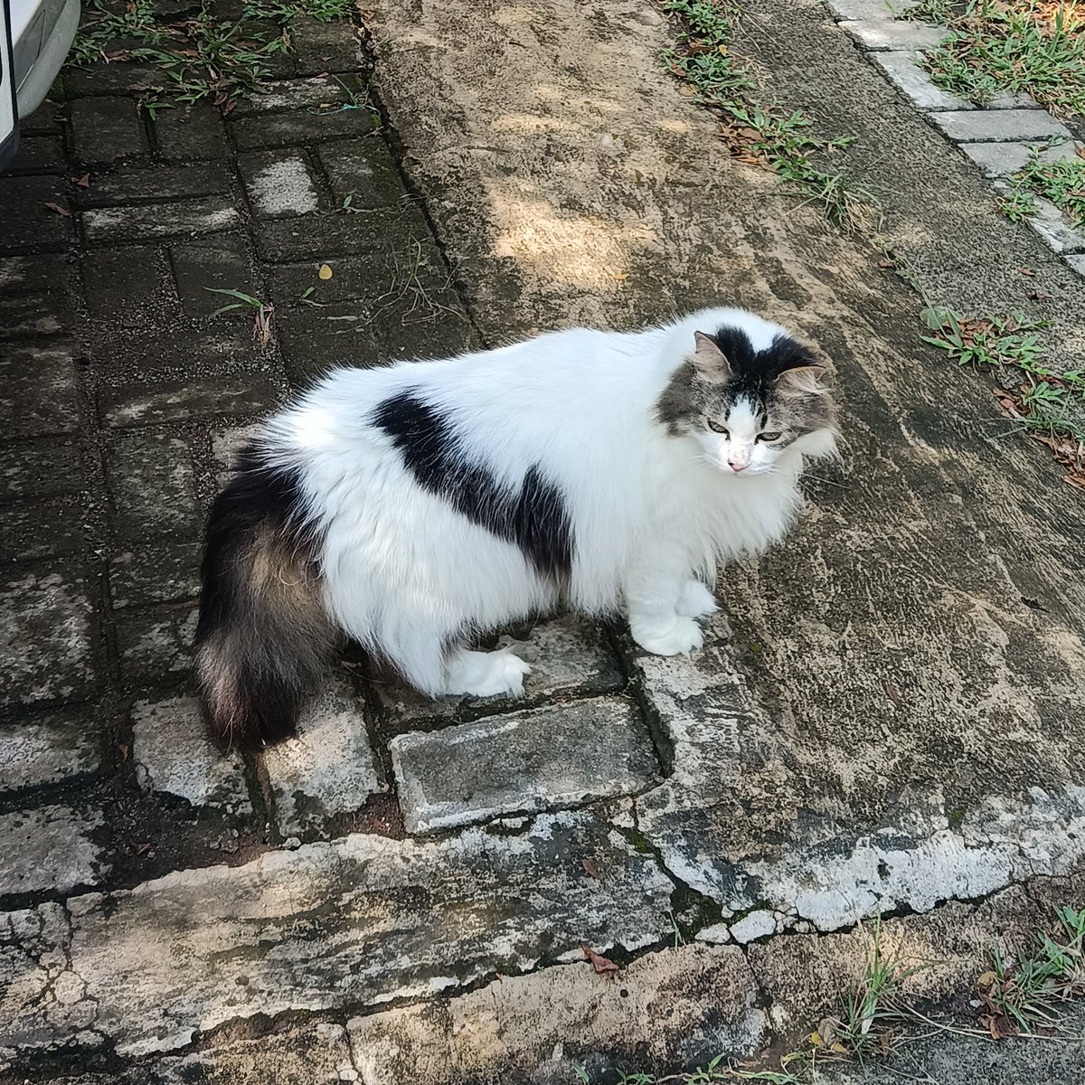 diaryofmolly's tweet photo. Dokumentasi tadi pagi pas berjemur https://t.co/7oZp235PNf