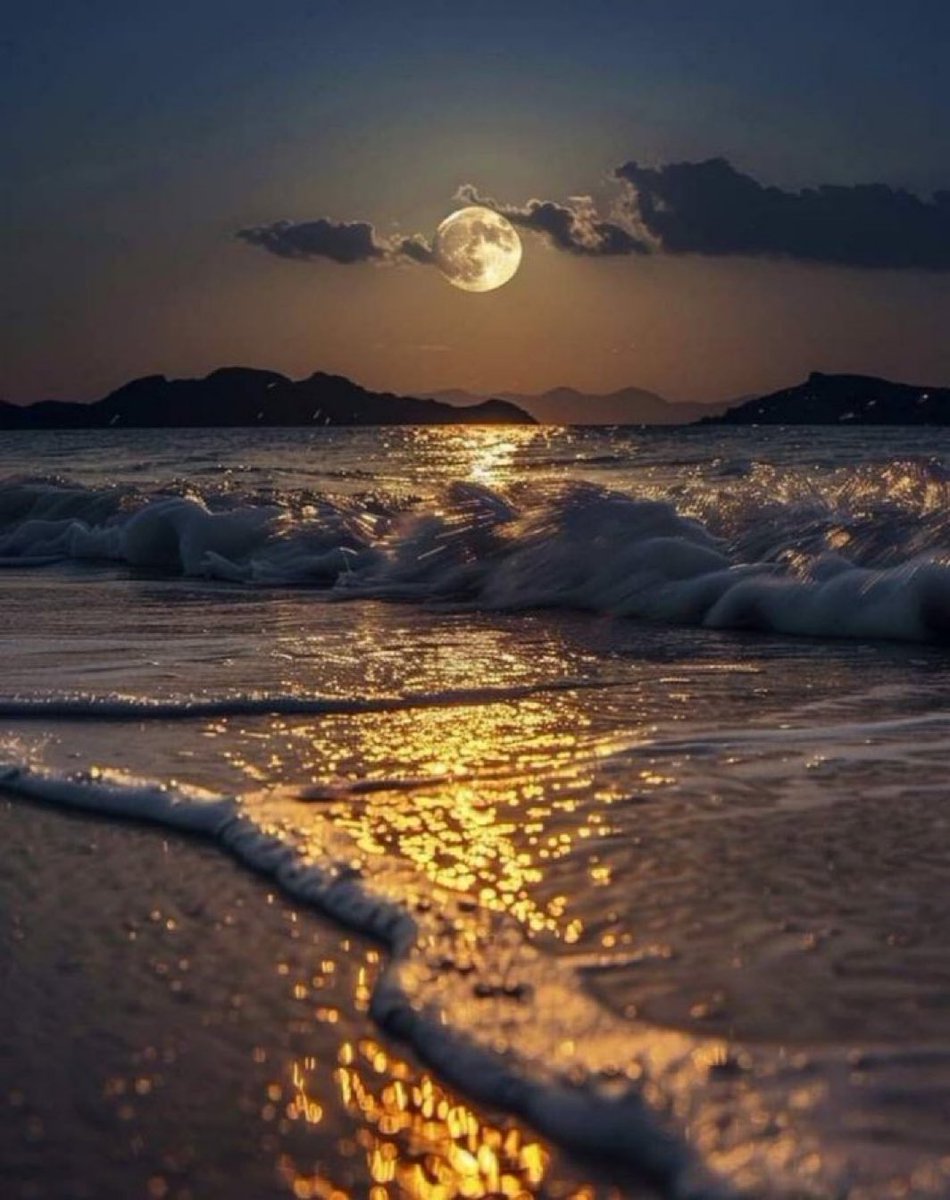 MOON LOVER tweet media