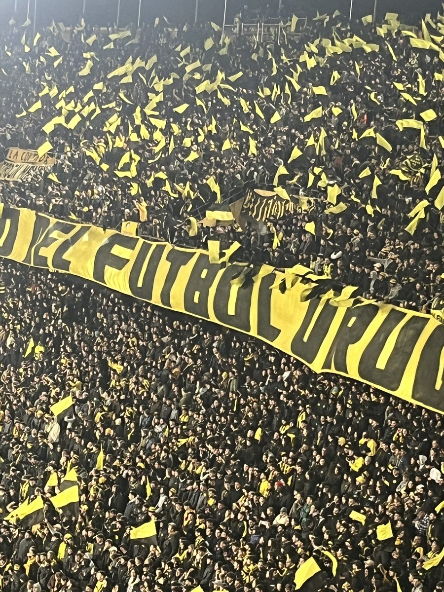 Rafela085's tweet photo. La vida siempre en 2 colores 🖤💛 https://t.co/NQNMVIpp2K