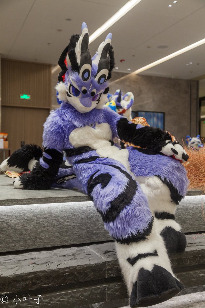 yyblaise's tweet image. 盯…
#fursuit #FursuitEveryday