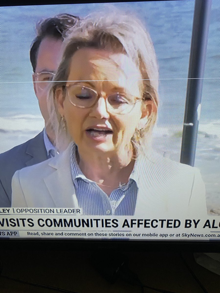Igh0108's tweet photo. Someone remind Silly Sussan Ley she holds paltry 18 seats 😂 #auspol https://t.co/IcGnqoWHkU