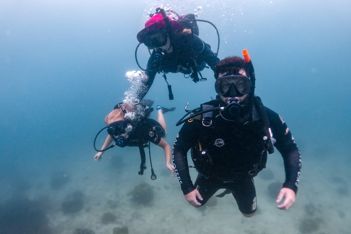 At Black Turtle Dive we take our customer promise very seriously. All Discover Scuba experiences are conducted with a maximum of 2 students per PADI Instructor. Blackturtledive.com/experience-pro… #KohTao #Diving #DSD