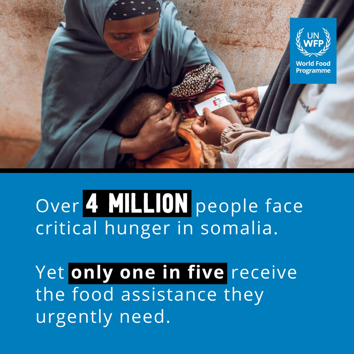WFP Somalia (@wfpsomalia) on Twitter photo As the largest humanitarian agency in Somalia, <a href="/WFP/">World Food Programme</a> delivers emergency food and recovery support to even the hardest-to-reach areas. However, as critical needs rise, funding shortfalls are forcing us to leave the vast majority of people without any support. As the largest humanitarian agency in Somalia, <a href="/WFP/">World Food Programme</a> delivers emergency food and recovery support to even the hardest-to-reach areas. However, as critical needs rise, funding shortfalls are forcing us to leave the vast majority of people without any support.