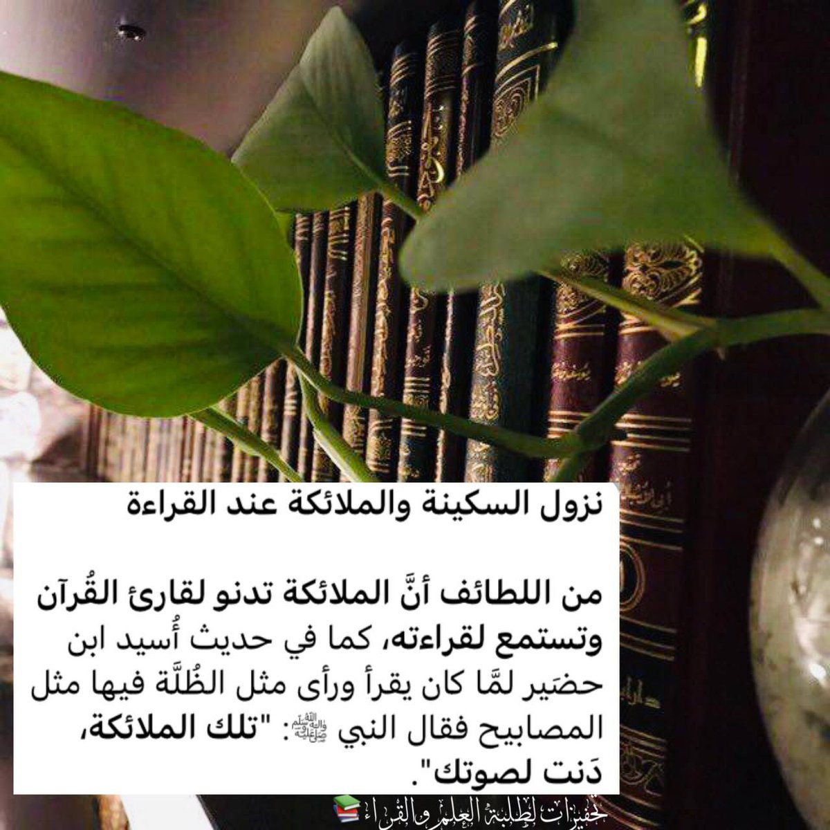 Ltlbt111's tweet photo. نزول السكينة والملائكة عند القراءة

من اللطائف أنَّ الملائكة تدنو لقارئ القُرآن وتستمع لقراءته، كما في حديث أُسيد ابن حضَير لم��ّا كان يقرأ ورأى مثل الظُلَّة فيها مثل المصابيح فقال النبي ﷺ: "تلك الملائكة، دَنت لصوتك".

https://t.co/UhypQbkUl5 https://t.co/avtjXcgluS