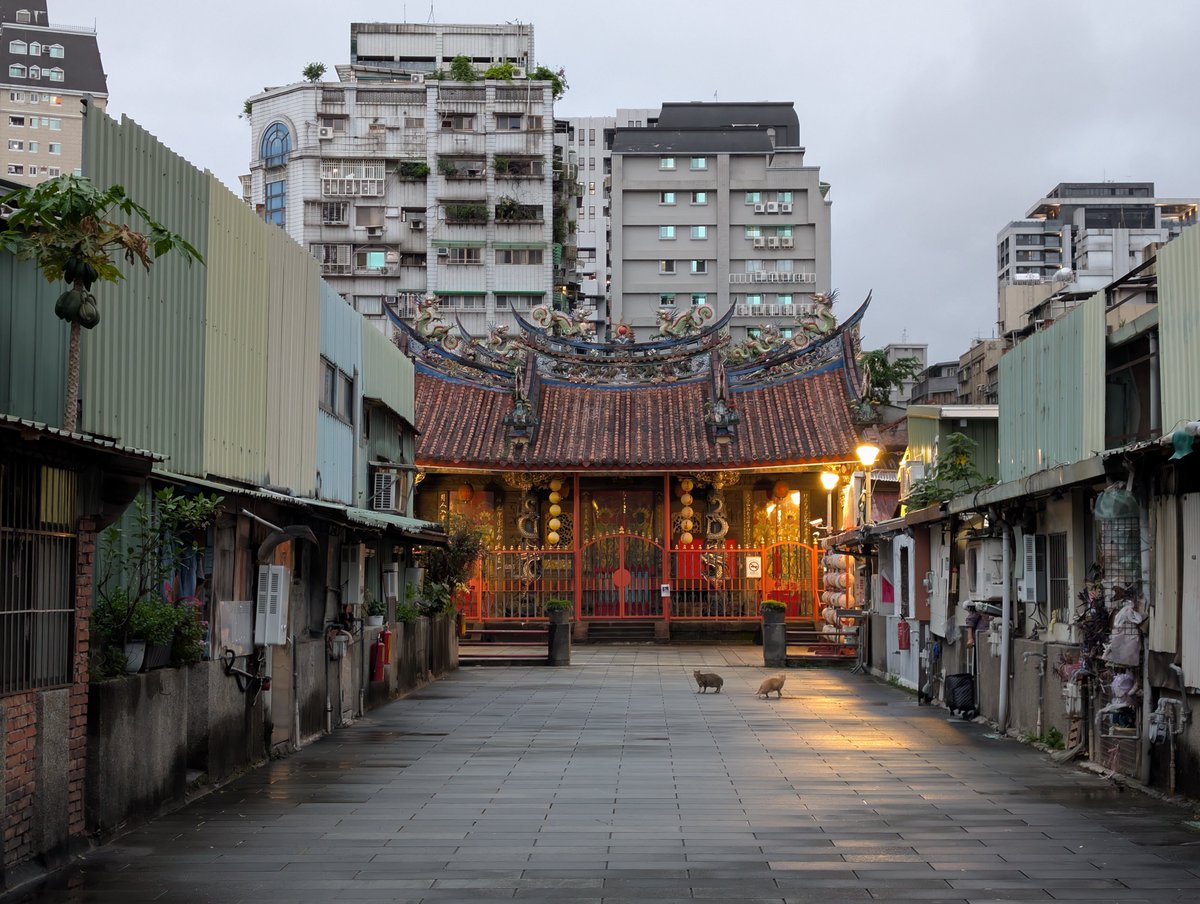 BigFreaky's tweet image. Taiwan has me under its spell... 
I'm ready to return asap.