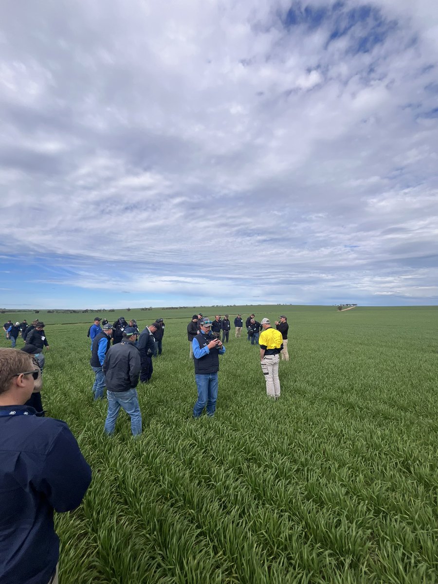 An awesome SA #NRI agronomy tour done and dusted. Big thanks to everyone who made it possible.