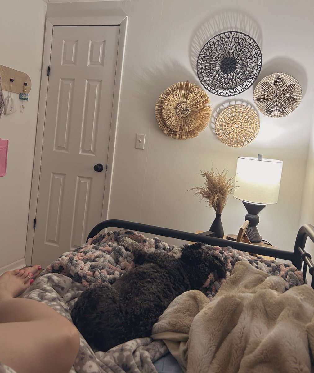 One thing about my little schnauzer is he’s definitely gonna push me off the bed every night. Sleeping with him will have me in the tiniest little corner of my tiny bed in my tiny room.

It’s okay, because he’s 10 YEARS OLD today. Happy Birthday, Dezi Doo.