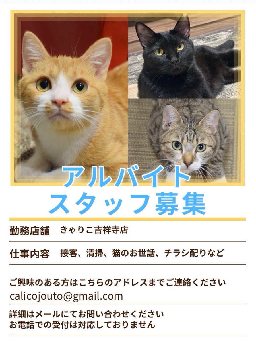 保護猫カフェ きゃりこ吉祥寺店 (@calicomusashino) on Twitter photo 【アルバイト募集】
吉祥寺店ではアルバイトスタッフを募集しております🐈
ご興味のある方はこちらもご覧くださいませ。catcafe.jp/staff.html
お問い合わせはメールにてお願いいたします。calicojouto@gmail.com
#保護猫カフェ #きゃりこ #吉祥寺 #アルバイト募集 【アルバイト募集】
吉祥寺店ではアルバイトスタッフを募集しております🐈
ご興味のある方はこちらもご覧くださいませ。catcafe.jp/staff.html
お問い合わせはメールにてお願いいたします。calicojouto@gmail.com
#保護猫カフェ #きゃりこ #吉祥寺 #アルバイト募集