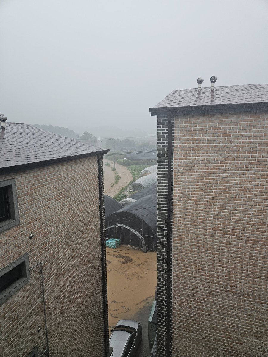 ㅋㅋㅋㅋ우리집 맞음?ㄴㅇㄱ

이제 다 빠지긴햇다는디 개놀랍다