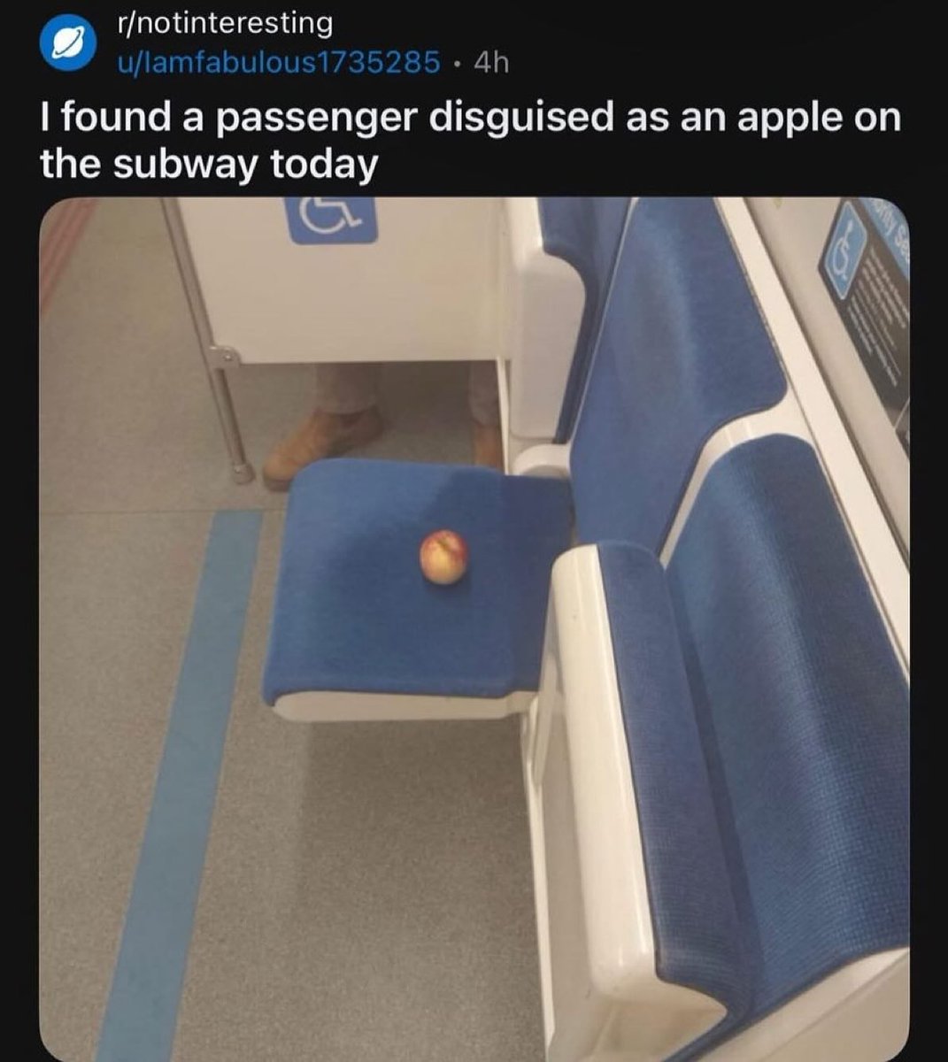 Reddit But Funny (@redditbutfunny) on Twitter photo 