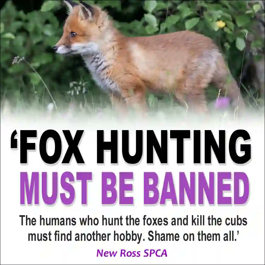 Ban Blood Sports tweet media