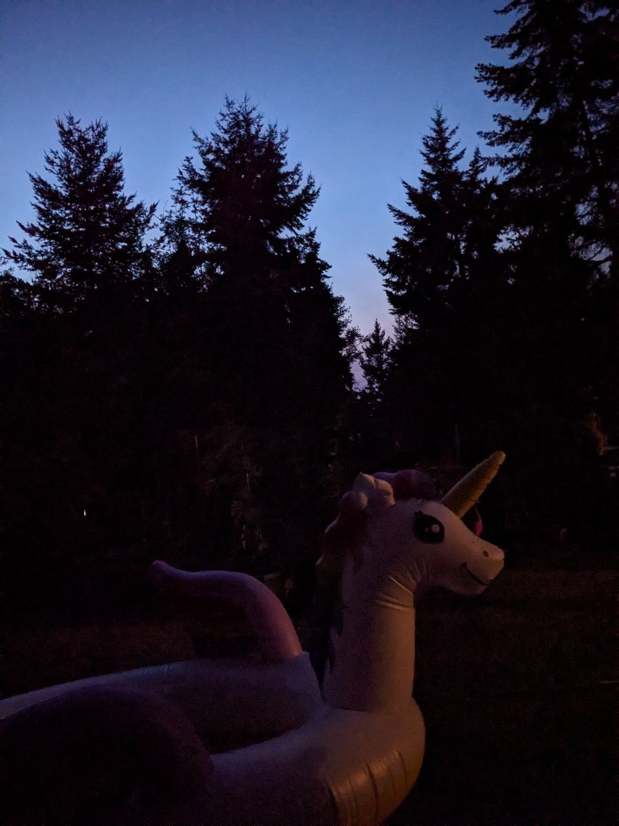 odiesislandlife's tweet image. My unicorn and I are waiting for the meteor shower 🦄🩷🦄 #perseidmeteorshower #summernights #islandlife