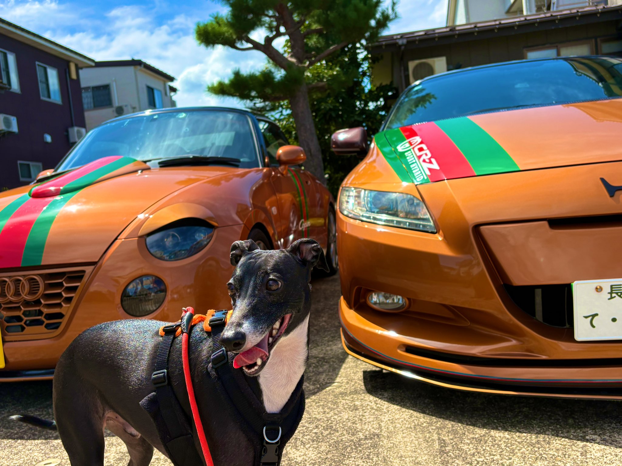 ♡Suu♡ᵕ̈です。 241220 | Another Man Official Update ♡ @xuminghao_o Cover