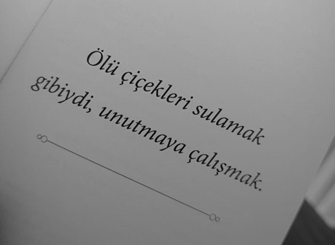 kisaca_elo's tweet photo. https://t.co/X9Y6zkDldA
