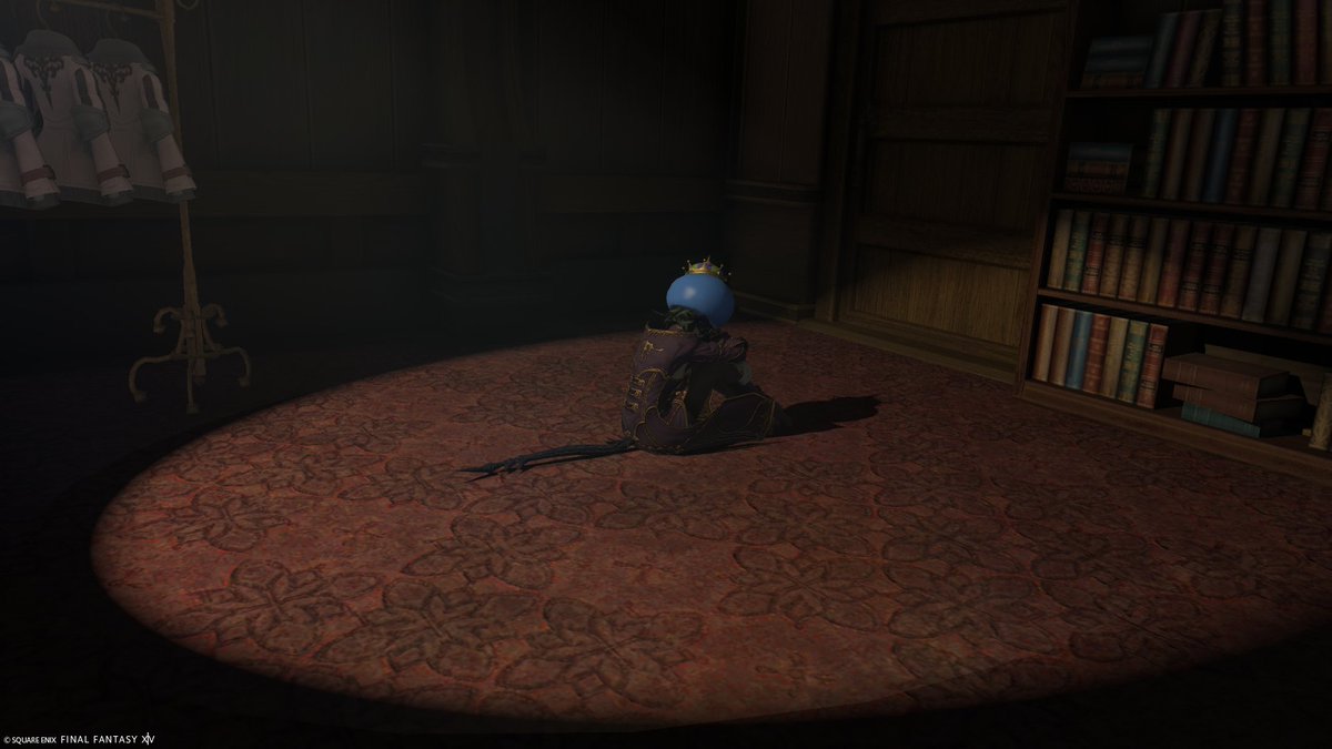 ArmaeaD's tweet image. when you tell your viera friend about this news and they vehemently refuse to wear the hat