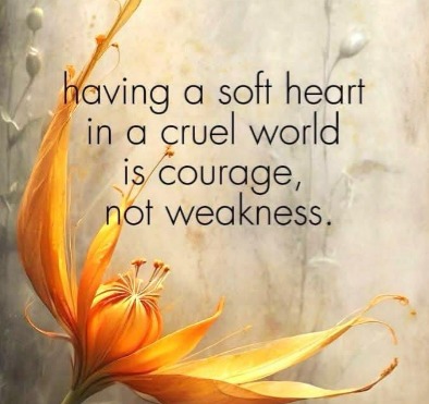 Nisar Saiyed (@humzubaan) on Twitter photo 