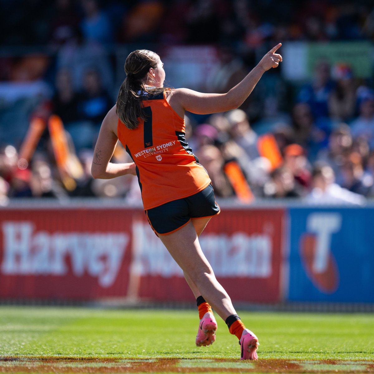 Manuka Oval tweet media