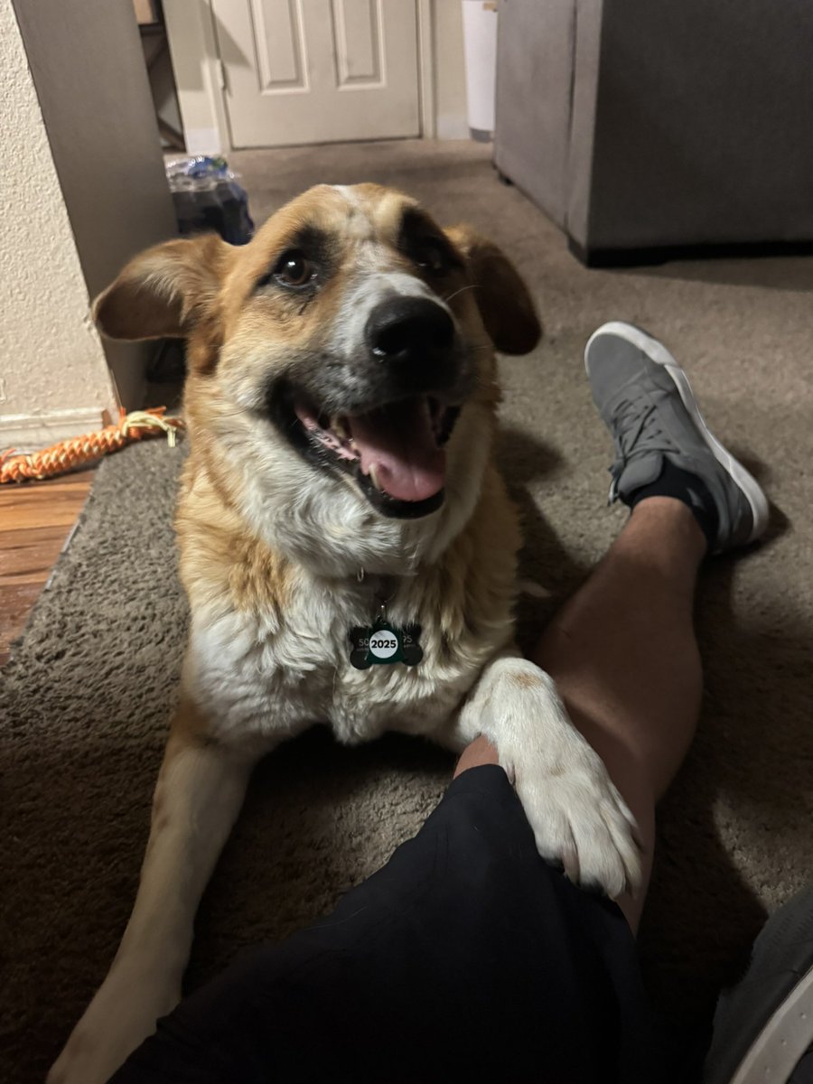 _POSElDON's tweet image. My son!