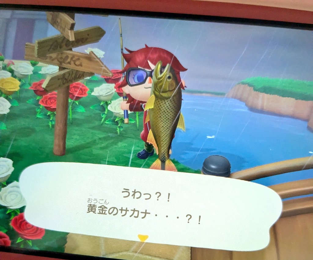 Happy3144649's tweet photo. #あつ森
#どう森
黄金の魚釣れた〜！！！
でっけぇなぁ！🤣👍 https://t.co/lzXbNAAaD6