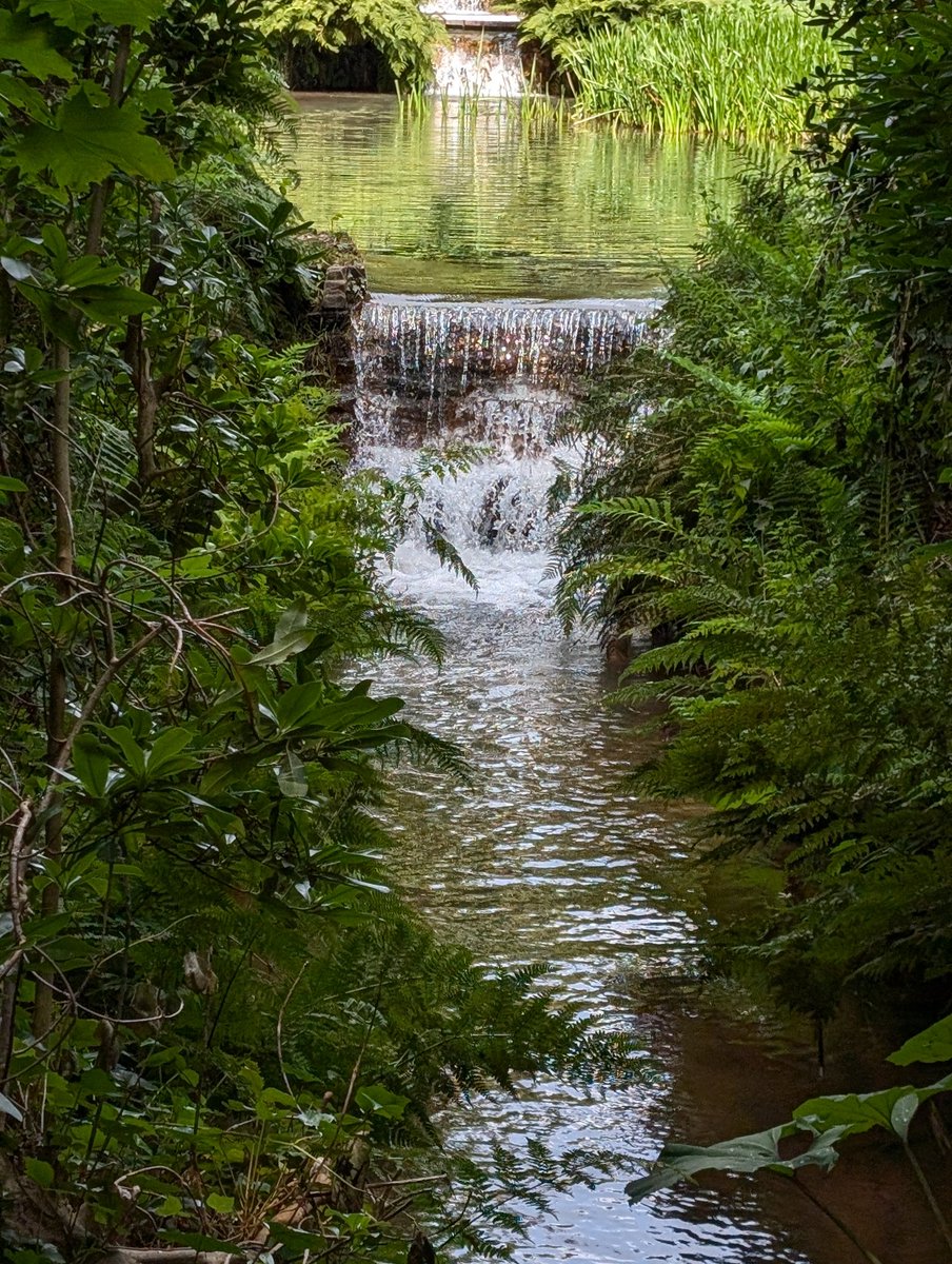 Goedemorgen allemaal, wij genieten lekker verder van ons mooie landje. Wat je ook doet maak er iets moois van.