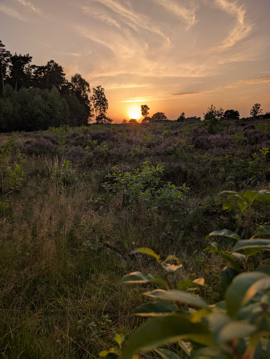 Goedemorgen <a href="/Toob_Alers/">Toob Alers</a>, <a href="/RijschRijnland/">Rijschool  Rijnland</a>, <a href="/gemmie_walet/">Gemmie Walet</a>, <a href="/tina2269/">Bettina</a>,  <a href="/Edwin_Staal/">Edwin Staal</a>, <a href="/lief1909/">Madelief vd R</a>, <a href="/Edwin_Staal/">Edwin Staal</a>, <a href="/ingridwittert/">Ingrid Schouten🇮🇹🇳🇱</a>, <a href="/MRTfotografie/">Marianne Rouwendal</a>, het wordt een warme dag, kalm aan en doe wat kan. Een fijne woensdag gewenst.
