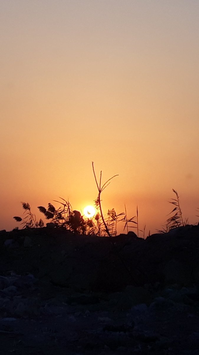 صبحكم الله بالخير ورزقكم كما يرزق الطير طبتم وطاب يومكم 
#تصويري