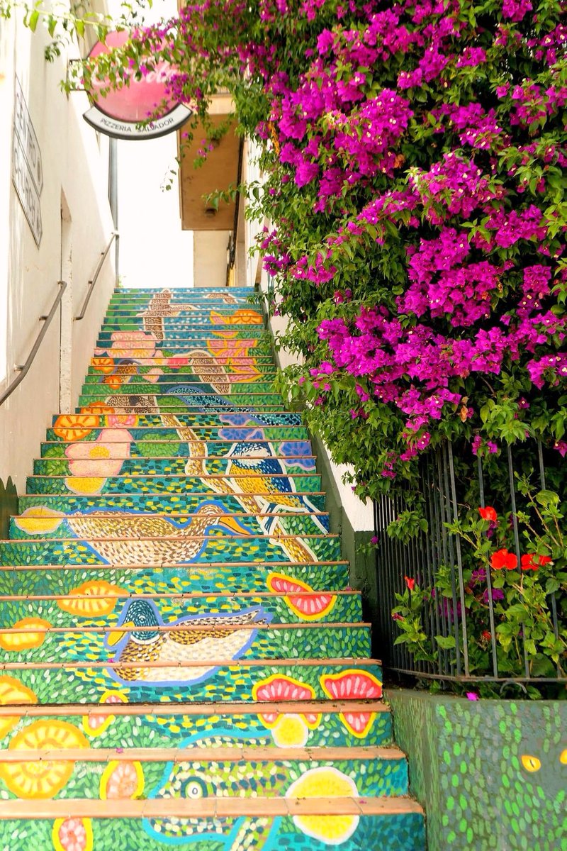 AliceSmith72872's tweet image. 