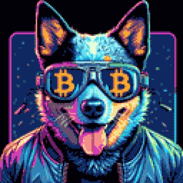 BitShades Dogs :: Celebrating Man's Best Friend tweet media