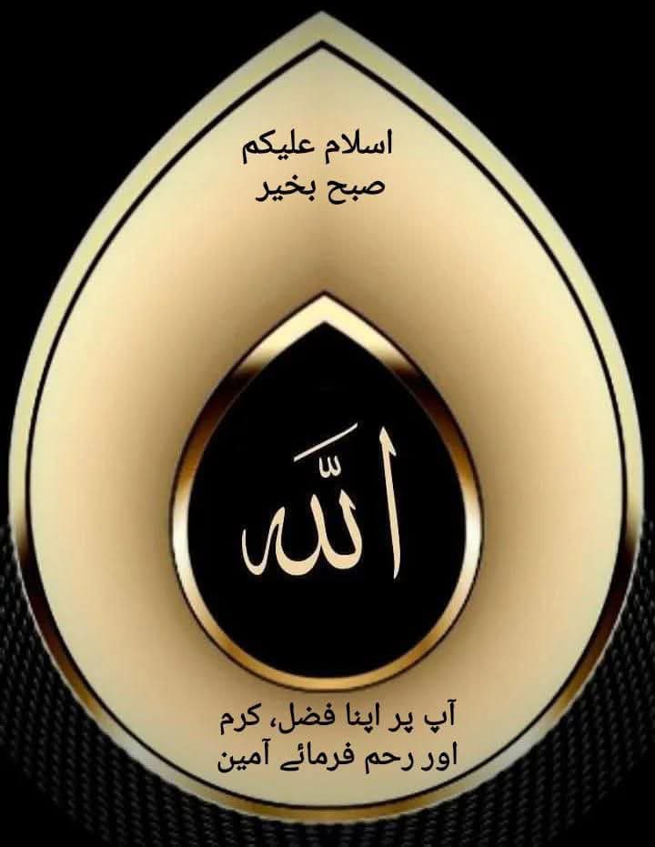 اَلسَلامُ عَلَيْكُم 
صبح بخیر 💕