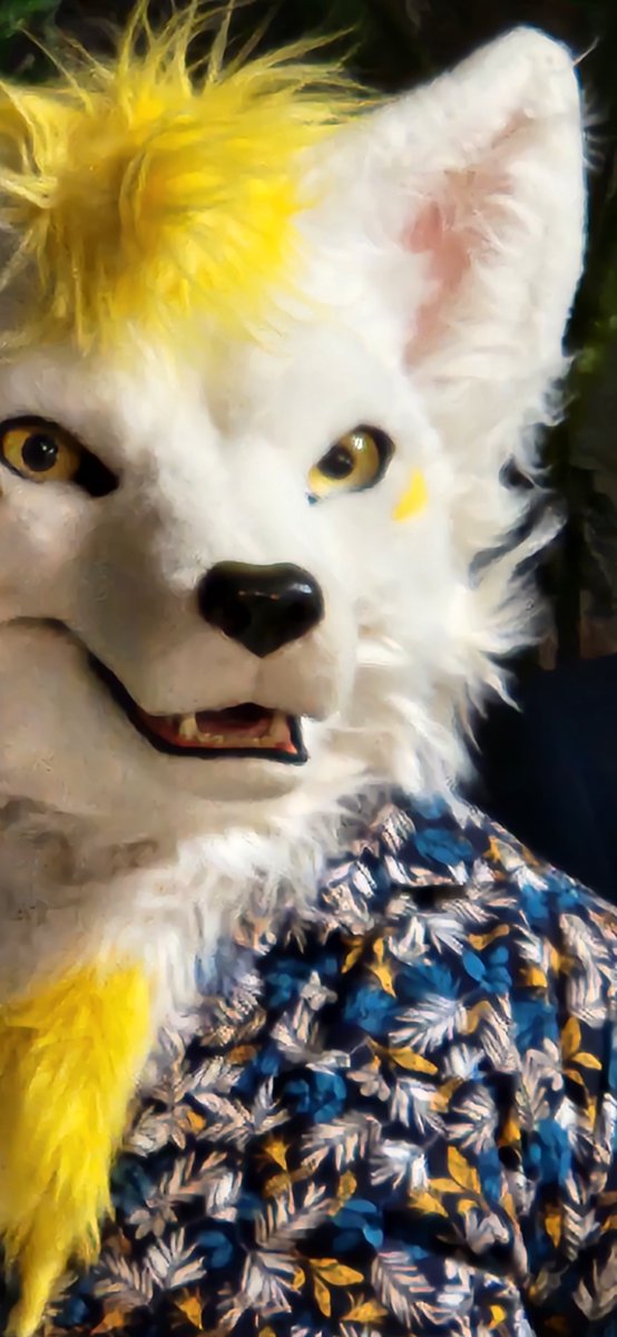 #顔だけで何リポスト来るか