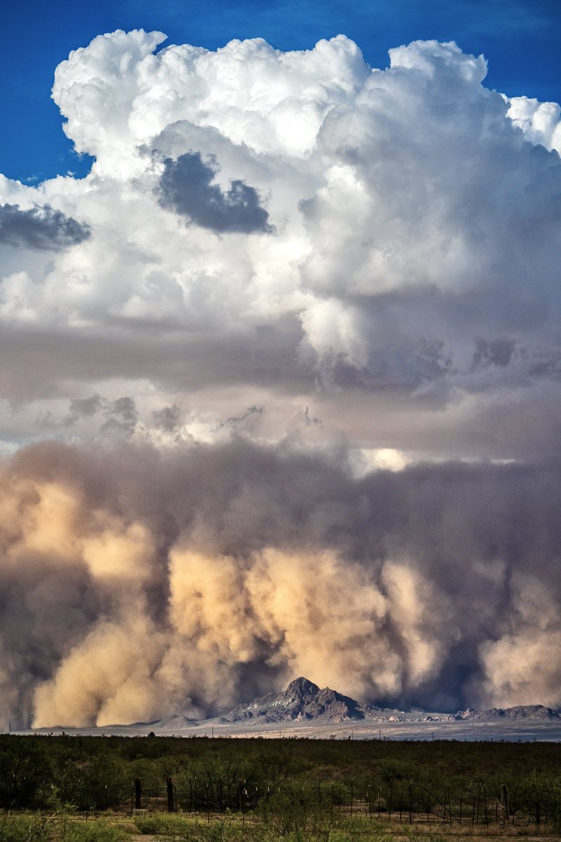 Today’s haboob overtaking the mountains on the AZ/NM state line #azwx #monsoon2025