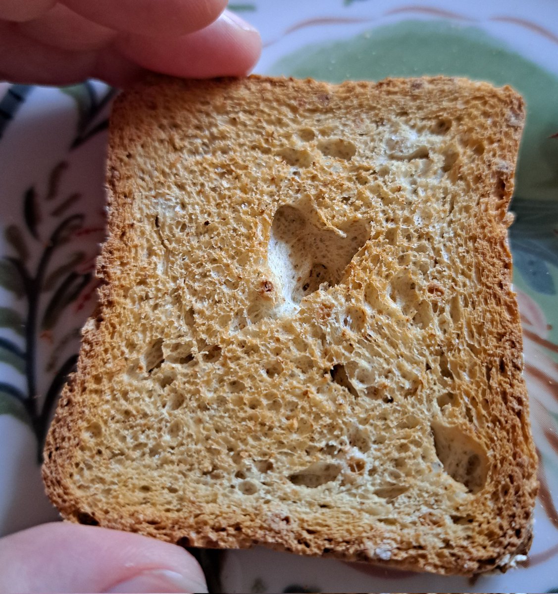 Grazie fetta biscottata! Farò del mio meglio ❤️