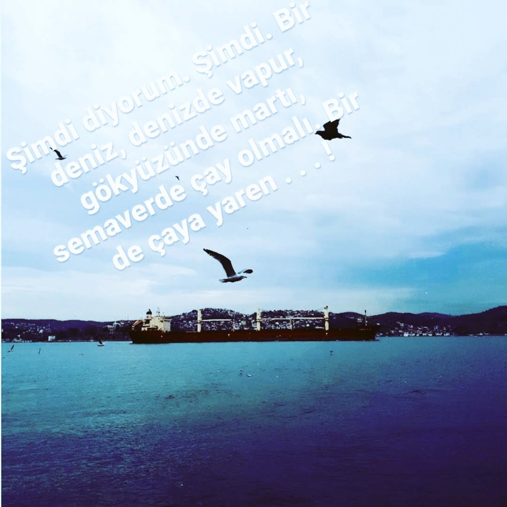 dzmavigokyuzu's tweet photo. #Maviye
#Misss
#Gün_Gülümsesin
#Çarşamba https://t.co/sT0uPG8Gjq