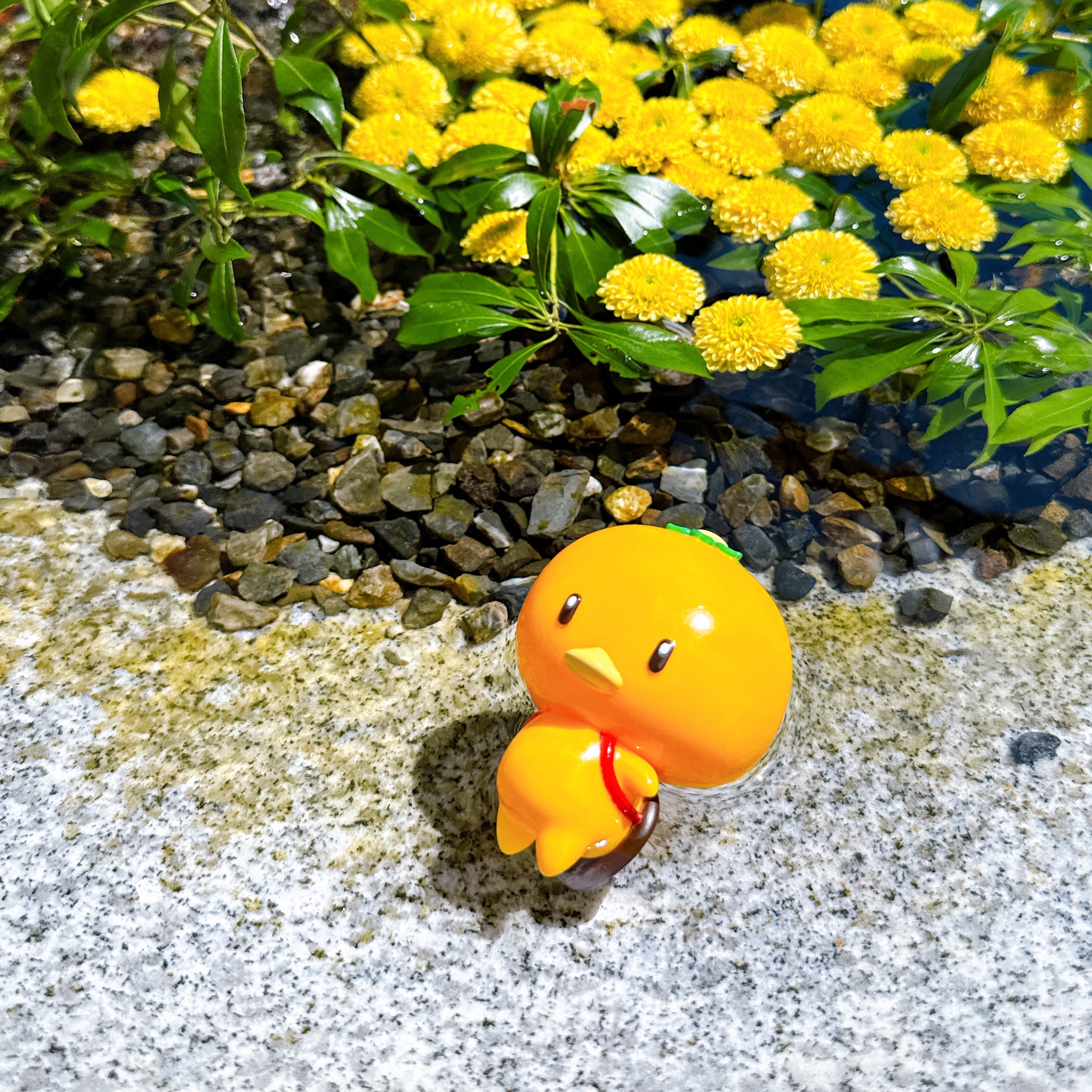 みかんかっぱSHOWROOM【公式】 (@SHOWROO27047228) / X