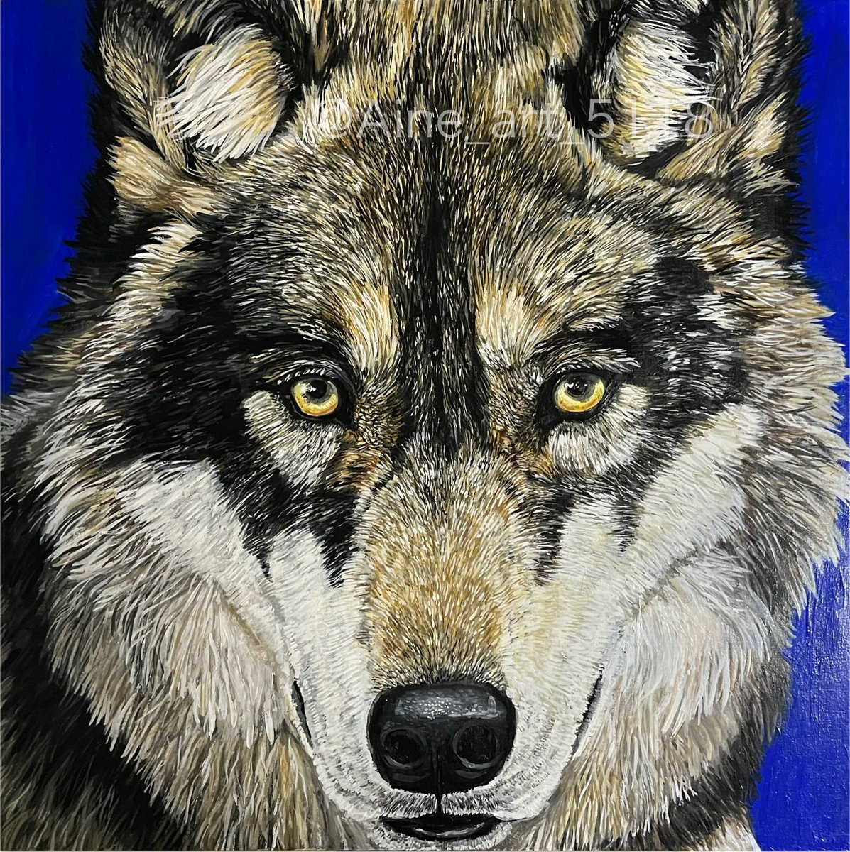 InternationalWolfDay #国際オオカミの日 #国際オオカミの日2025 最近 InternationalWolfDay #国際オオカミの日 #国際オオカミの日2025 最近