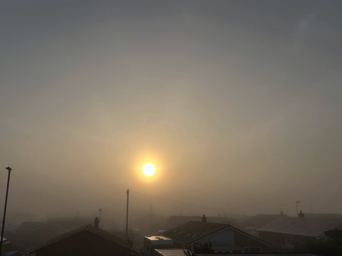 Thick fog this morning in Martham 
<a href="/ChrisPage90/">Chris Page - Weatherman</a> can’t see anything!
#fog #foggy #weather #britishweather #norfolkbroads #martham