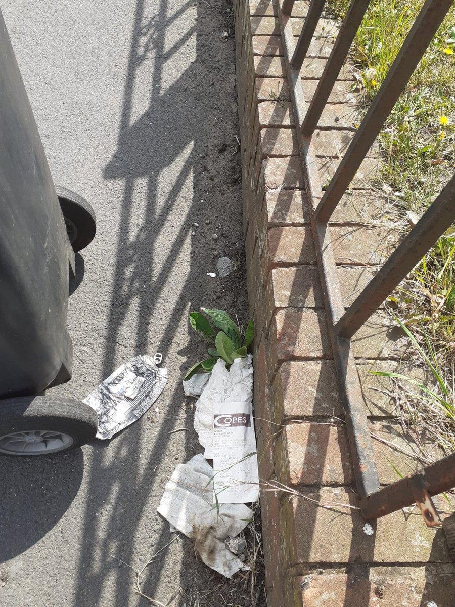 Litterwatch1's tweet photo. Giving a huge shout-out to our community hero, Kate. She's an amazing #Volunteer who works tirelessly to keep our streets clean, from picking up #litter to reporting #flytipping &amp; even putting everyone's bins away. Thank you, Kate, for everything you do. #Sandwell #roodend https://t.co/uxbJlaaP5l