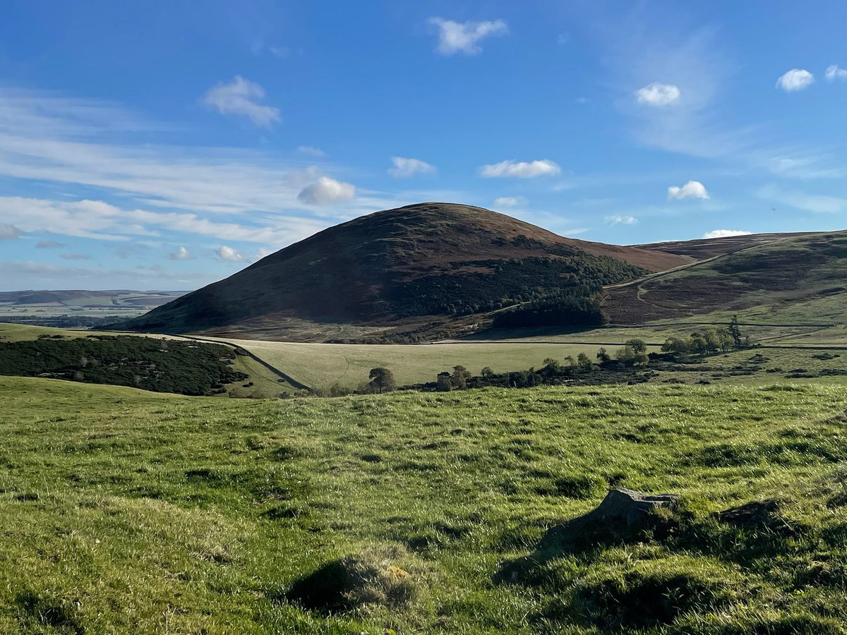 A distant view of Yeavering Bell on the edge of the Cheviot Hills. On its top is an Iron Age hillfort - the largest hillfort in Northumberland. 📸 My own. #HillfortsWednesday #IronAge #Northumberland